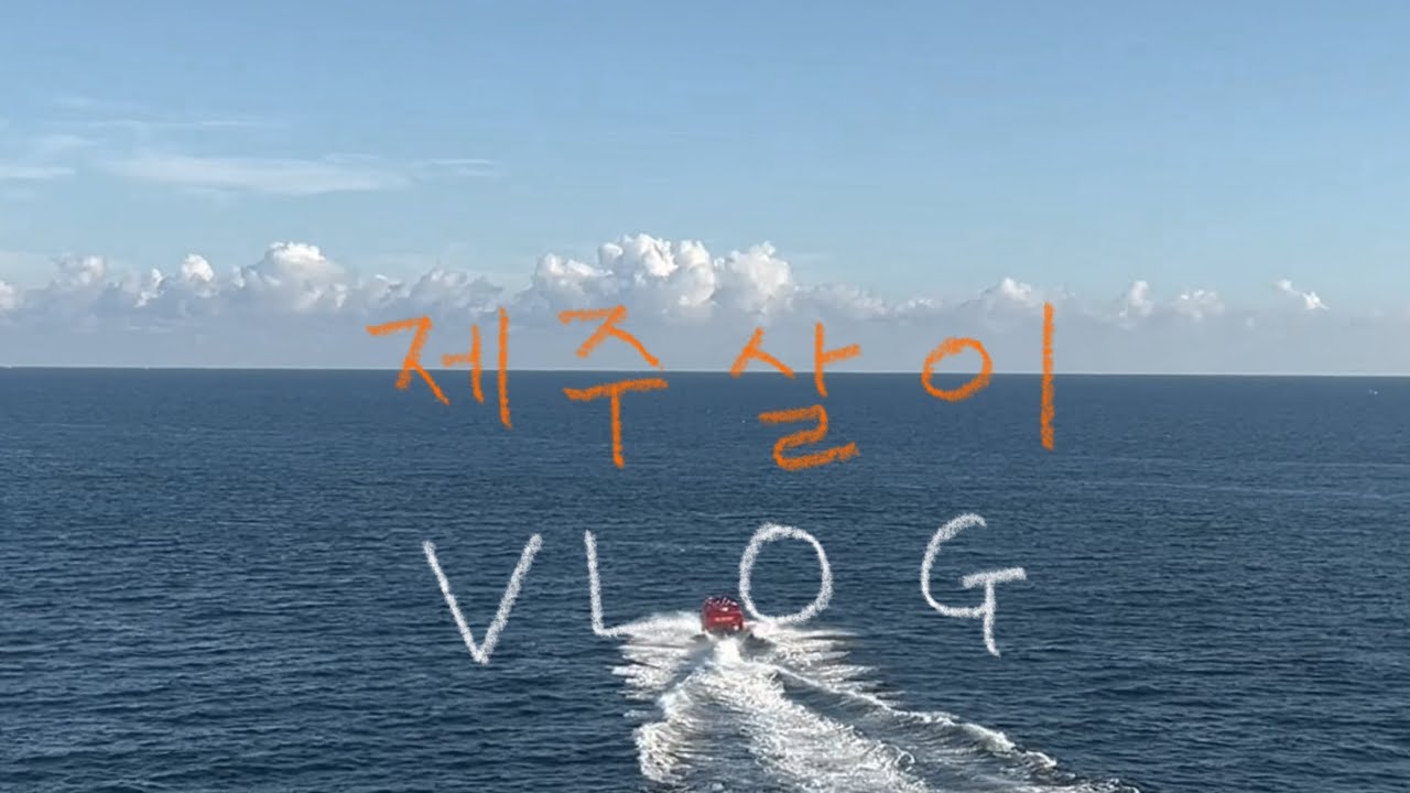 제주도로 도피온 사람의 잔잔바리 제주 일상 브이로그