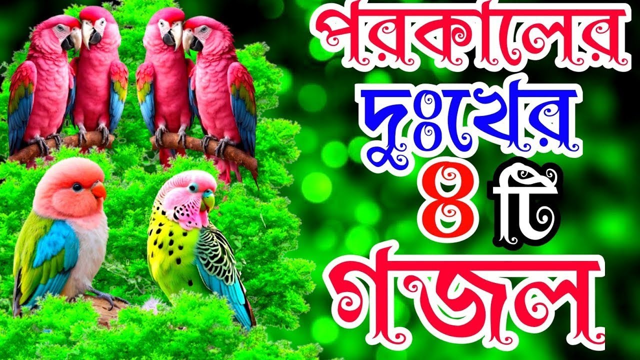 দুঃখের সেরা 8টি গজল বাছাই করা মদিনার গজল নবীজির প্রেমের গজল। Bangla Gojol New Gazal islamic Song New