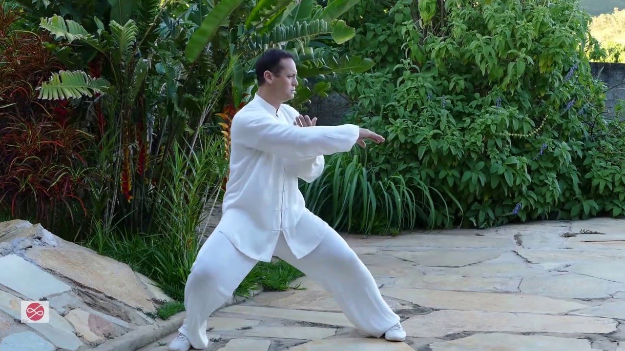 Tai Chi Chuan Estilo Chen - Lao Jia Yi Lu - Movimento 1 a 5 [Pt. 3/5]