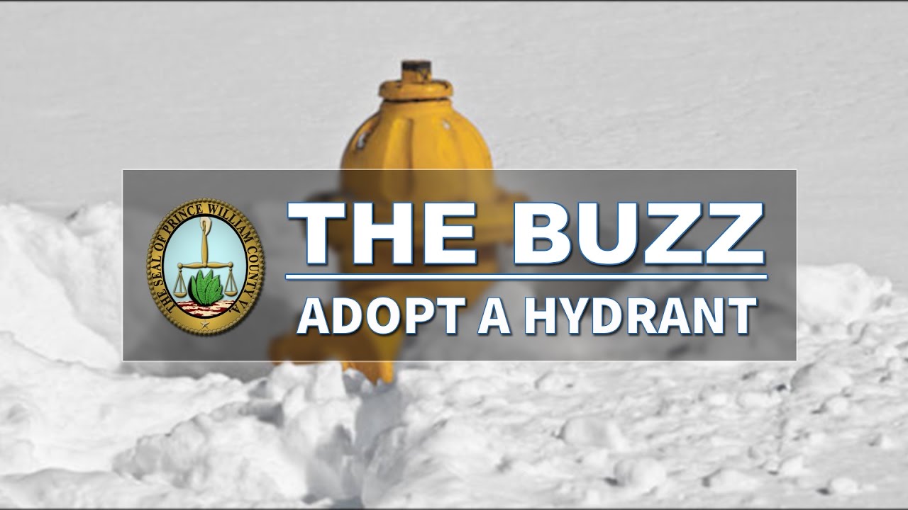 The Buzz: Adopt A Hydrant Program