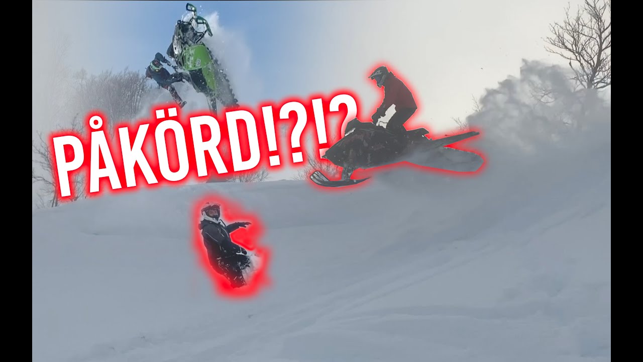 KÖR IN I VARENDA TRÄD MED SKOTERN!!
