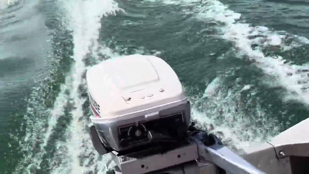 Evinrude 9.9 hp Outboard