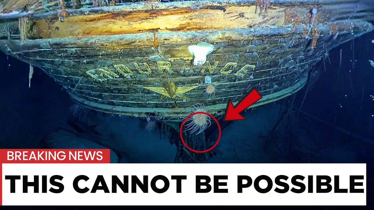 Top 10 Disturbing Finds Recovered From the Ocean Floor