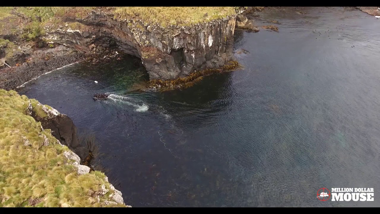 2018 Mouse Monitoring Trip Arrival