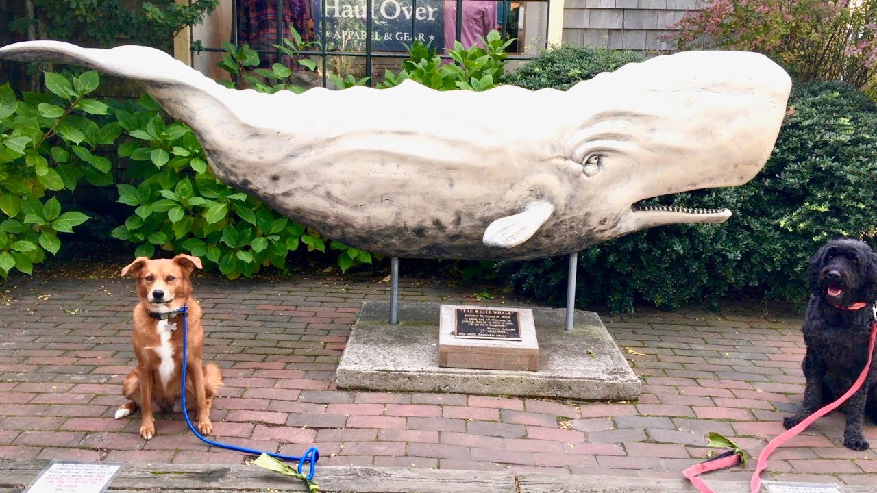 NANTUCKET - Old Whaling Capital of the WORLD!