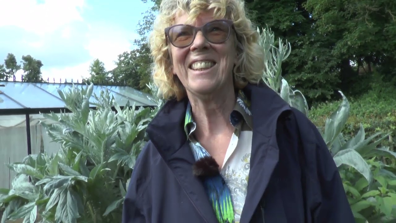 Tapijntuin