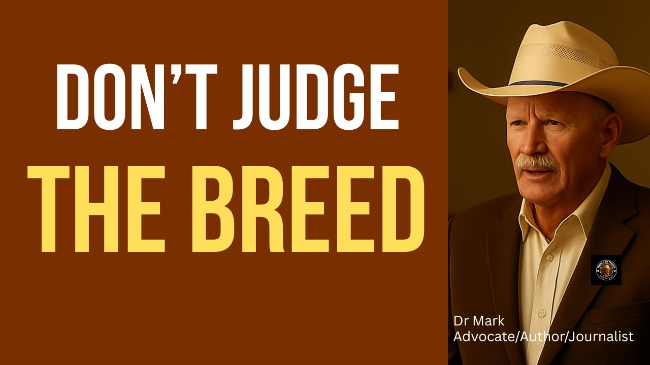 You Cannot Judge a Dog by its Breed | They Don’t See His Heart