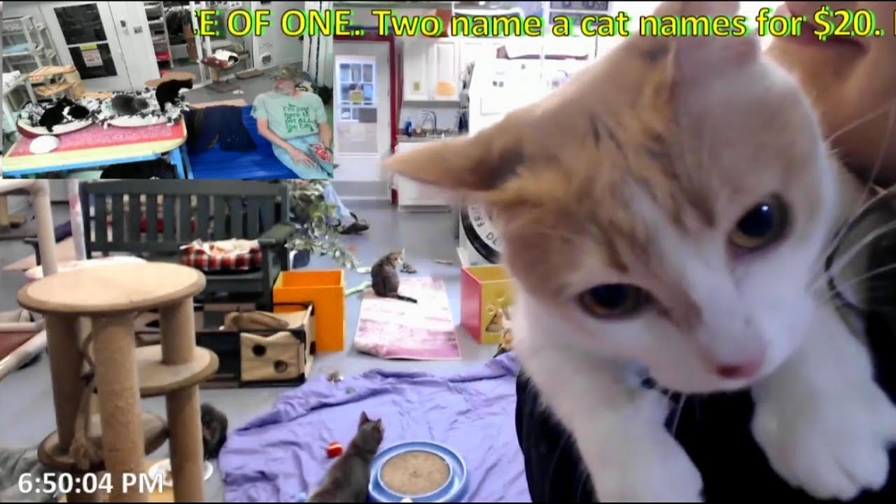 FFRC: Marilyn Purring