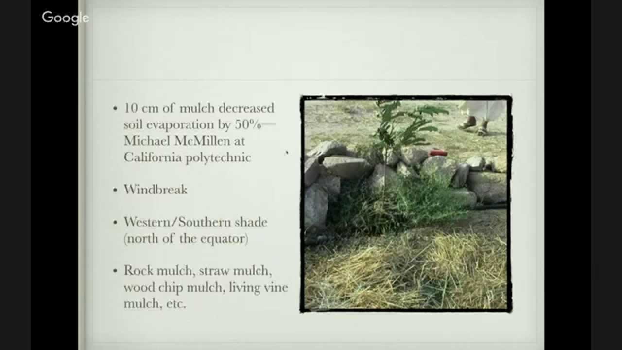 10 Keys to Greening the Desert with Neal Spackman