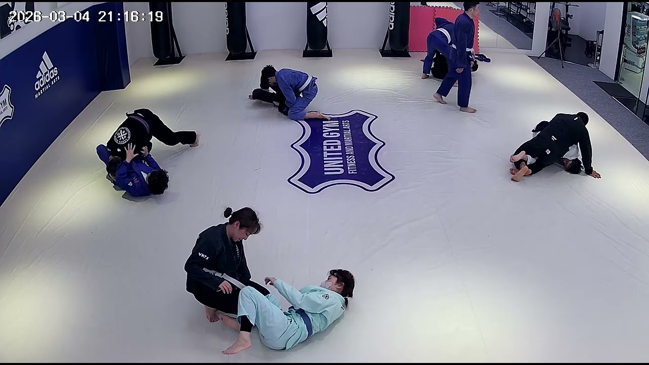 20260304 bjj