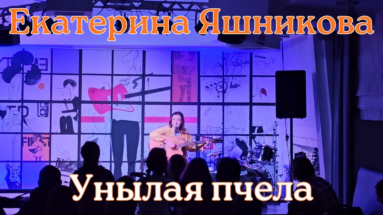 Екатерина Яшникова. Унылая пчела. Тамбов. 06.02.2025