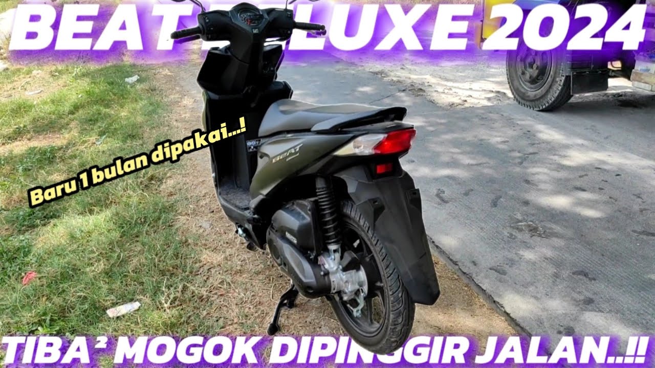 BEAT DELUXE 2024|ВСЕГО ОДИН МЕСЯЦ, А УЖЕ В БАСТОВАНИИ‼️