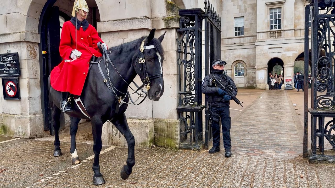 All Change: Guards Swap Sentry Box Duty at Horse Guards | Changing of The Guard in London 🇬🇧
