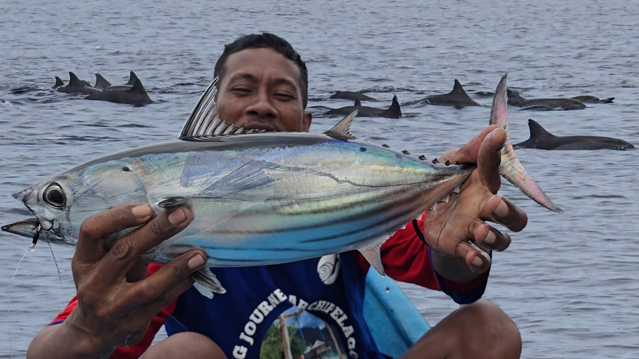 HUJAN BADAI MEMBAWA BERKAH, BERTEMU ROMBONGAN IKAN CAKALANG, LUMBA² & ROMBONGAN BURUNG