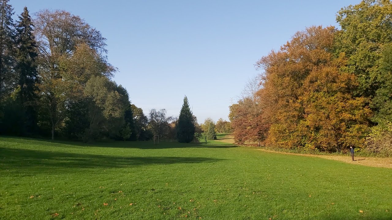 Le parc de la louviere belgique  [la magic de l'automne 🍁🍂