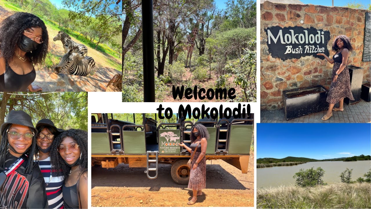 Going to Mokolodi - Gaborone, Botswana | Bots Vlog | Juliet Chuks