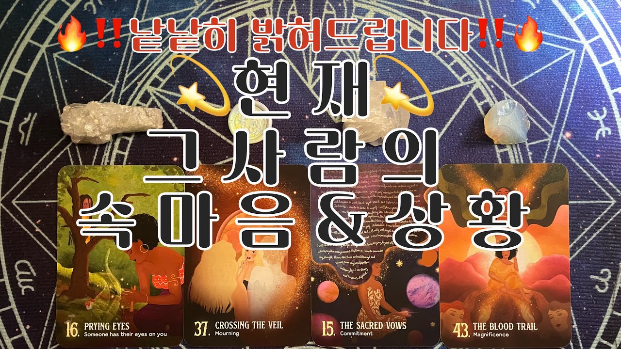 타로- 🌹그사람의 속마음과 상황🌹‼️낱낱히 파헤쳐볼께요‼️