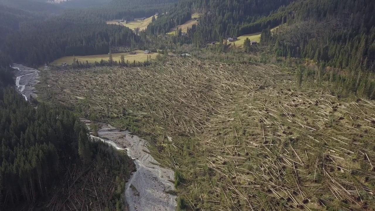 La tempesta Vaia, i luoghi colpiti sulle Dolomiti