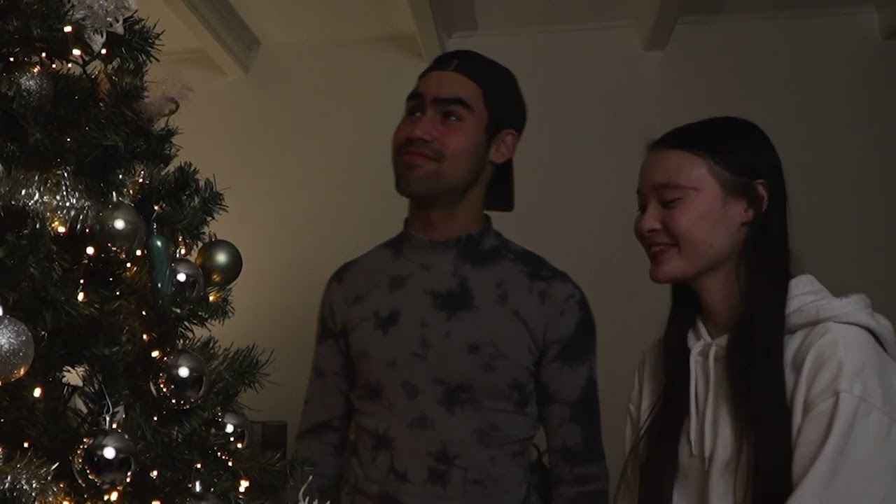 Vleugels muziek video cover