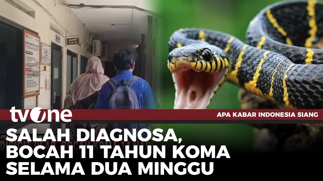 Seorang Bocah Tak Sadarkan Diri Selama 14 Hari Setelah Digigit Ular | tvOne