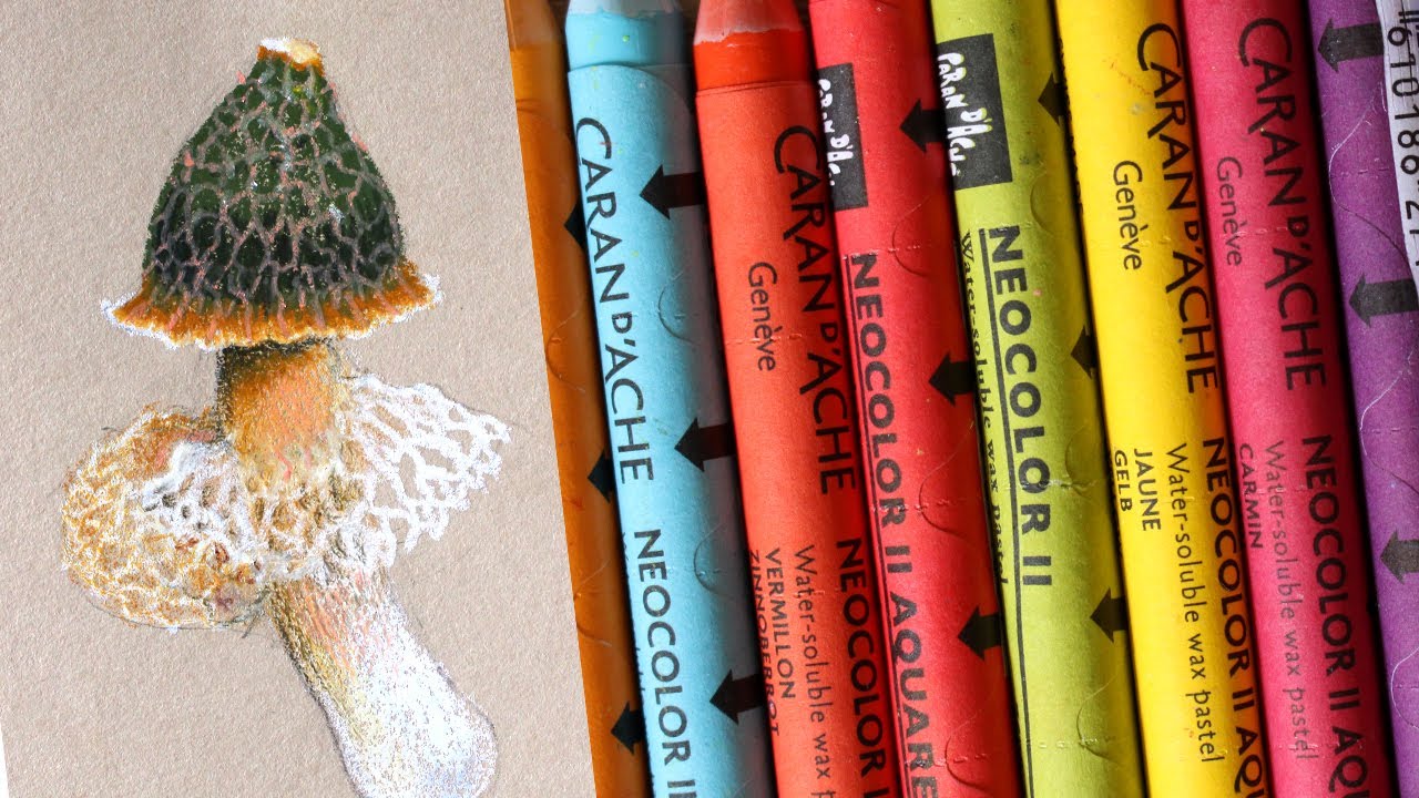 Caran d'ache neocolor II review - color swatches & mushroom drawing