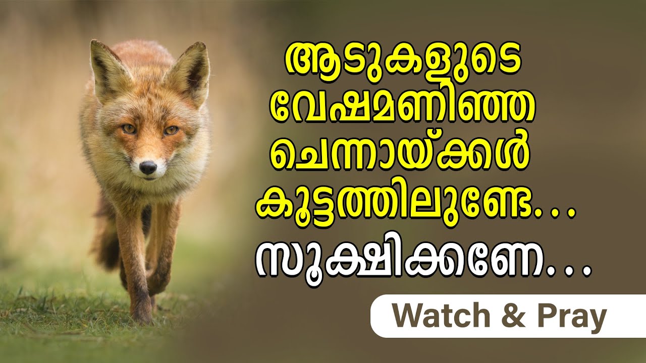 ആടുകളുടെ വേഷമണിഞ്ഞ ചെന്നായ്ക്കൾ കൂട്ടത്തിലുണ്ടേ....!! സൂക്ഷിക്കണേ..!! | Watch & Pray | Shekinah News