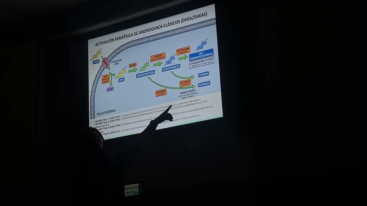 Fisiología endocrina clase #8 
