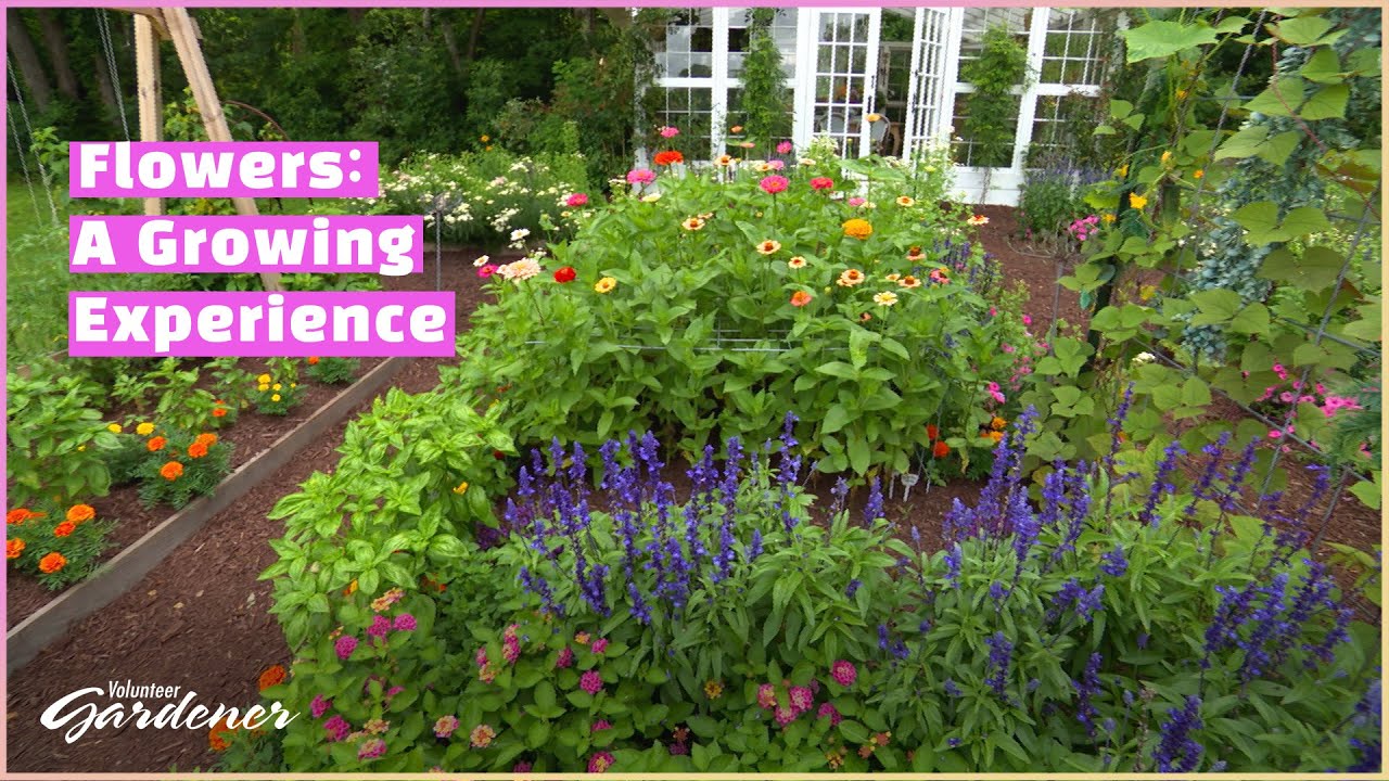 Flowers Bring So Much Joy | Volunteer Gardener