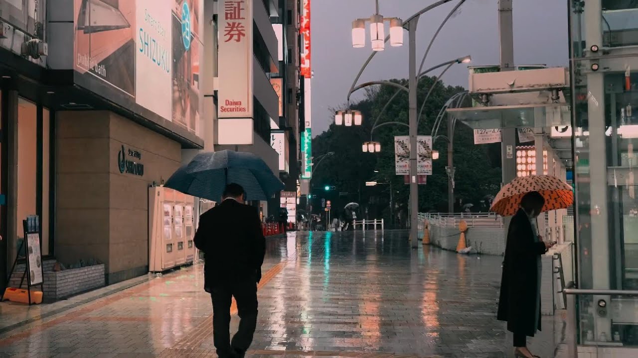 Sai Lầm Của Anh (Lofi Ver) - Đ&igrave;nh Dũng | Anh Từng O&aacute;n Tr&aacute;ch Em Rất Nhiều