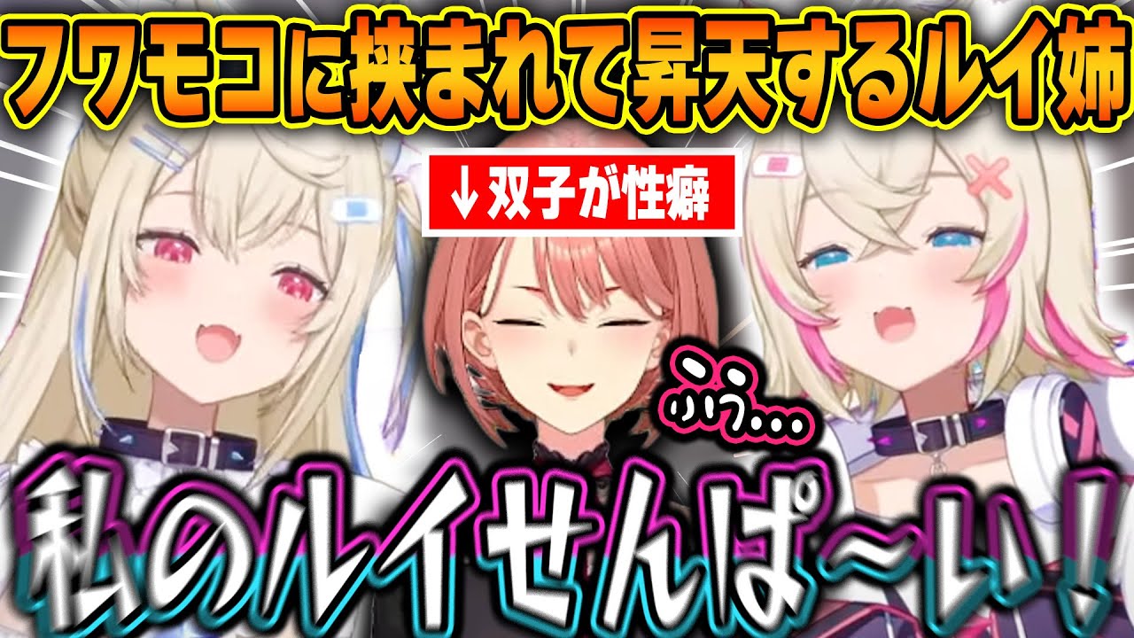 フワモコの濃厚すぎる双子成分を過剰摂取して昇天しかける双子ガチ勢のルイ姉ｗ【ホロライブ/フワモコ/鷹嶺ルイ/切り抜き】