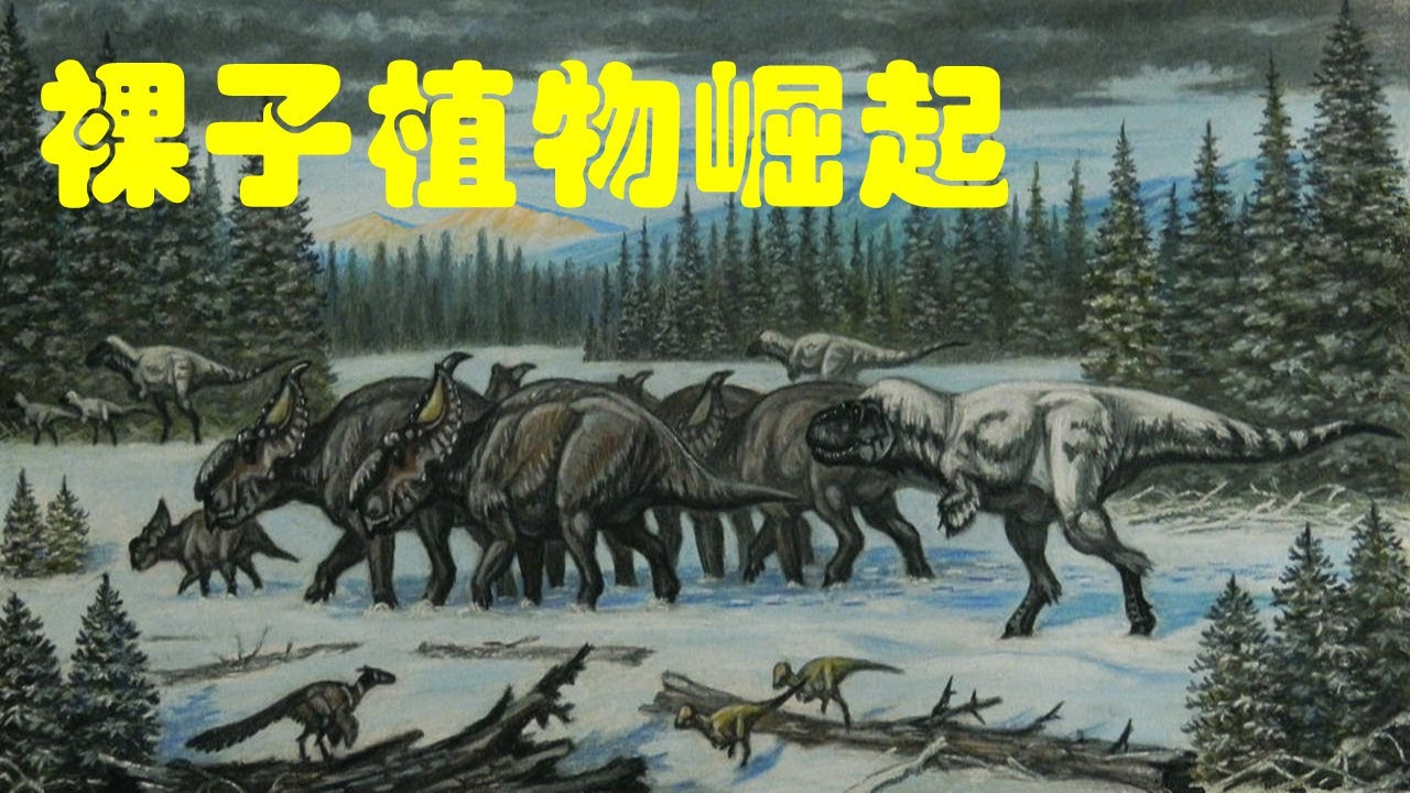二叠纪：裸子植物崛起｜铁树不易开花？｜苏铁：恐龙的美食｜地球简史系列23｜海民大叔