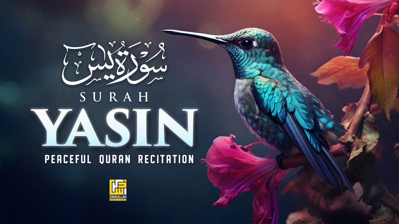 Surah Yaseen (Yasin) سورة يس | Soft Voice | Beautiful Recitation For Sleep |  Zikrullah Reciters