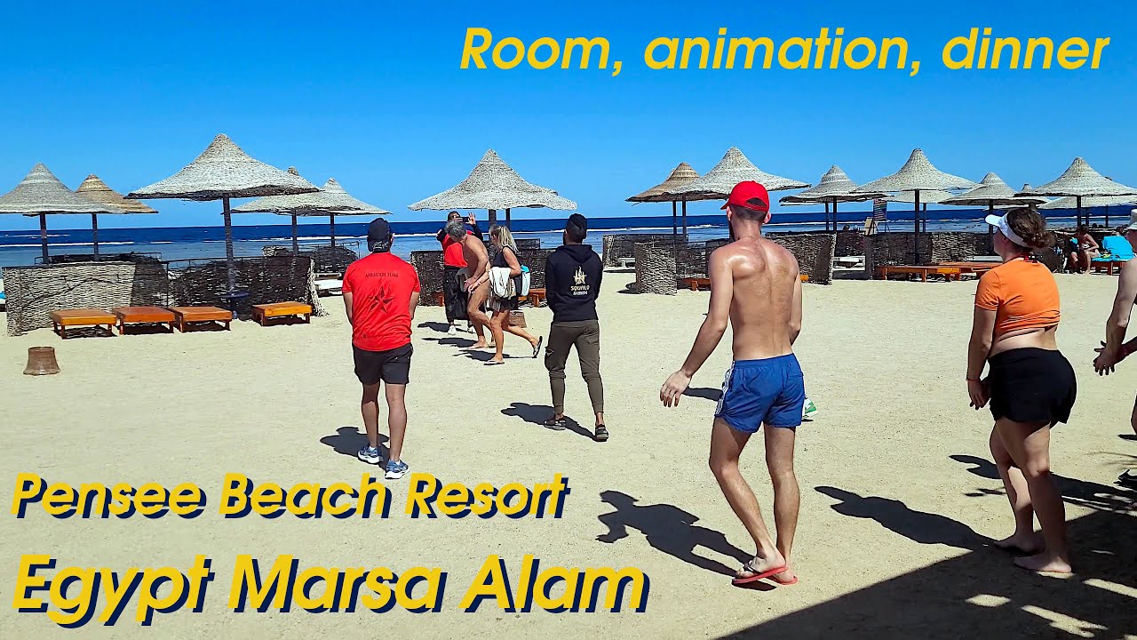 Обед в отеле Pensee Beach Resort Marsa Alam. Обзор номеров, анимационная программа, пляжные удобства