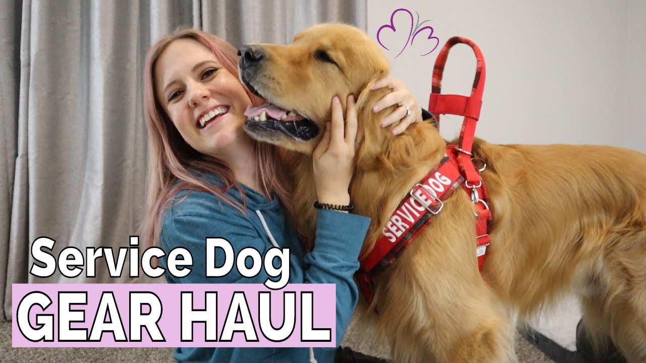My Service Dog GEAR HAUL (medical alert dog) // Brought to you by Migraine Jen