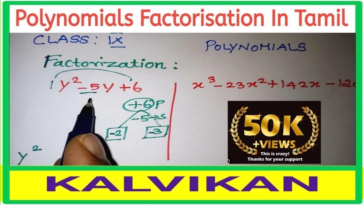Polynomial factorization in tamil // Class 9 maths polynomial factorisation in Tamil / Kalvikan