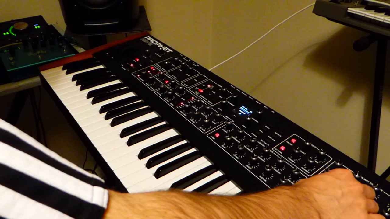 DSI Prophet Rev 2 & Strymon Big Sky