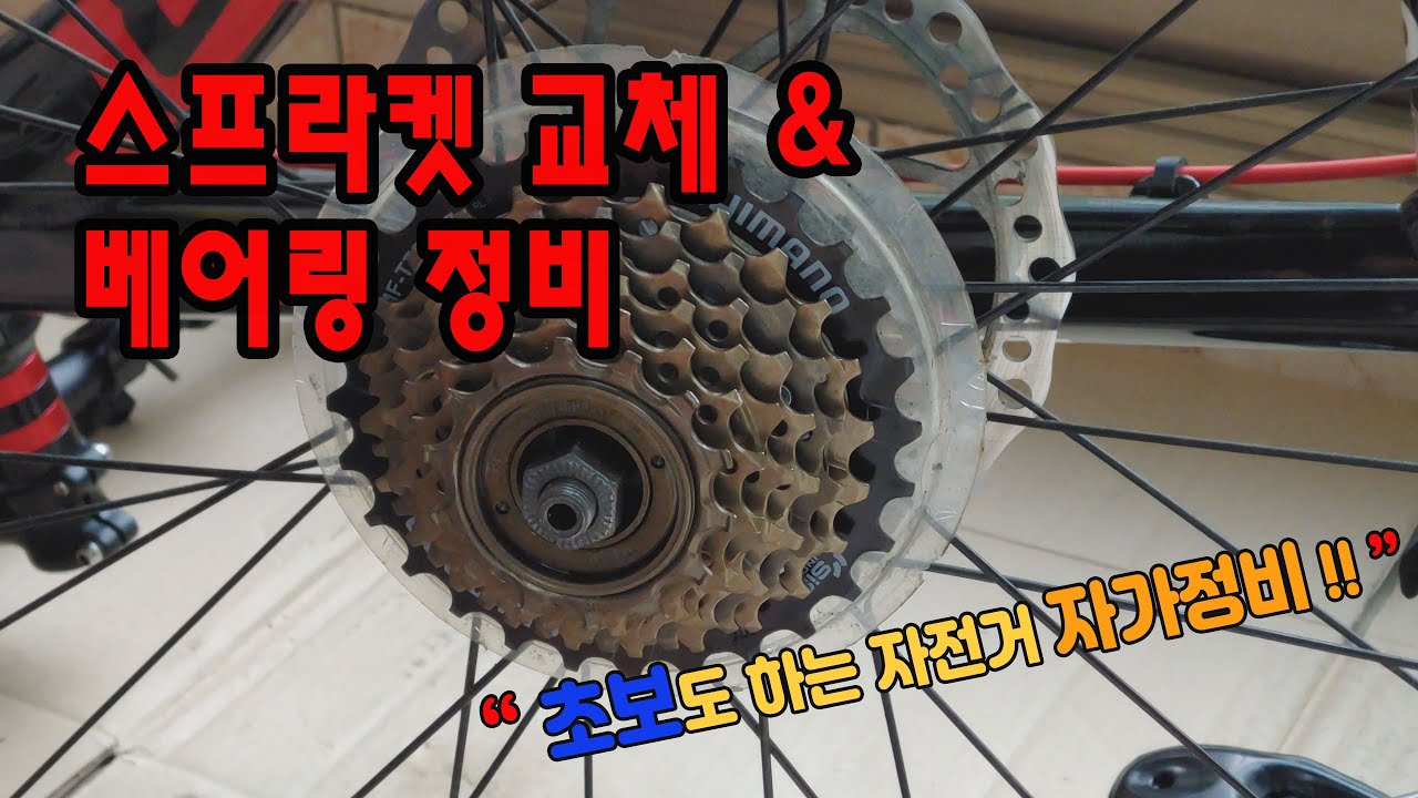 베란다에서 할 수 있는 내자전거 자가정비 / 스프라켓 교체 / 베어링 정비