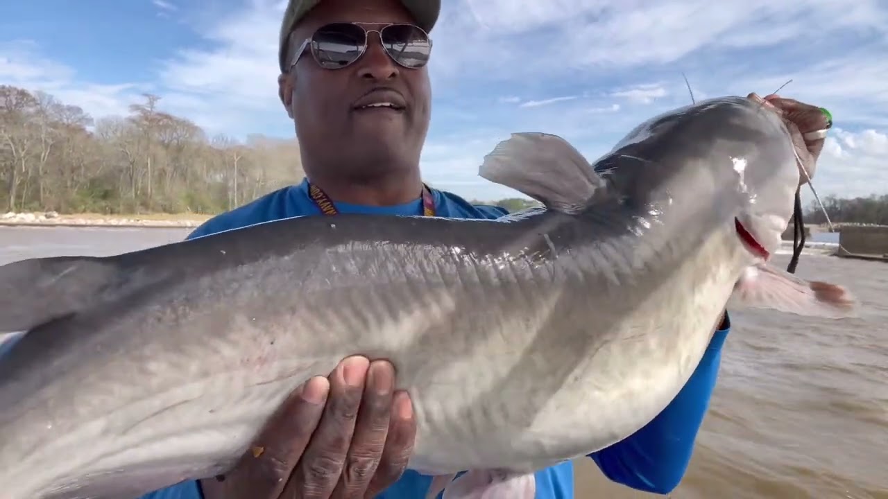 Lake Houston Dam Big Catfish