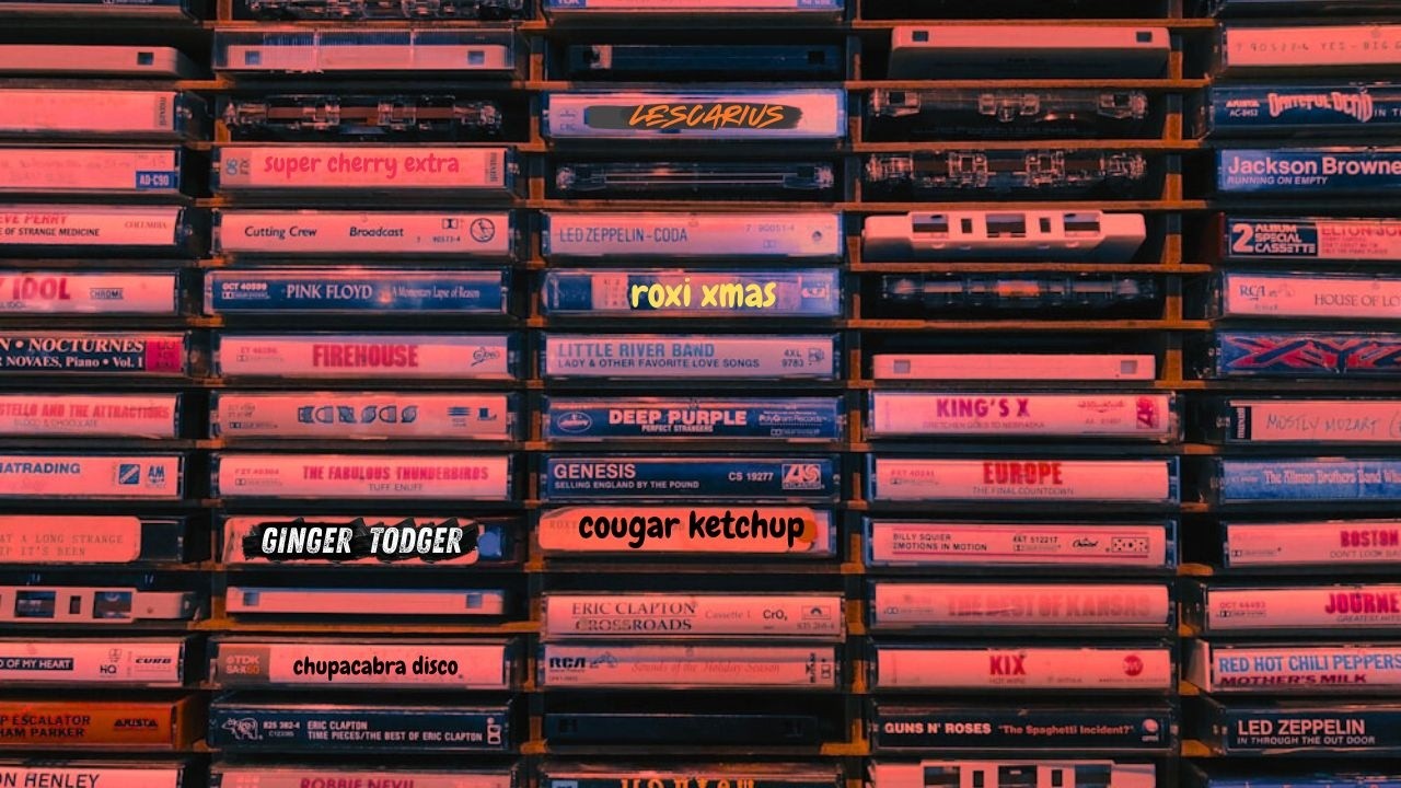 BANG THE CODA          xxx noiSe LooP xxx