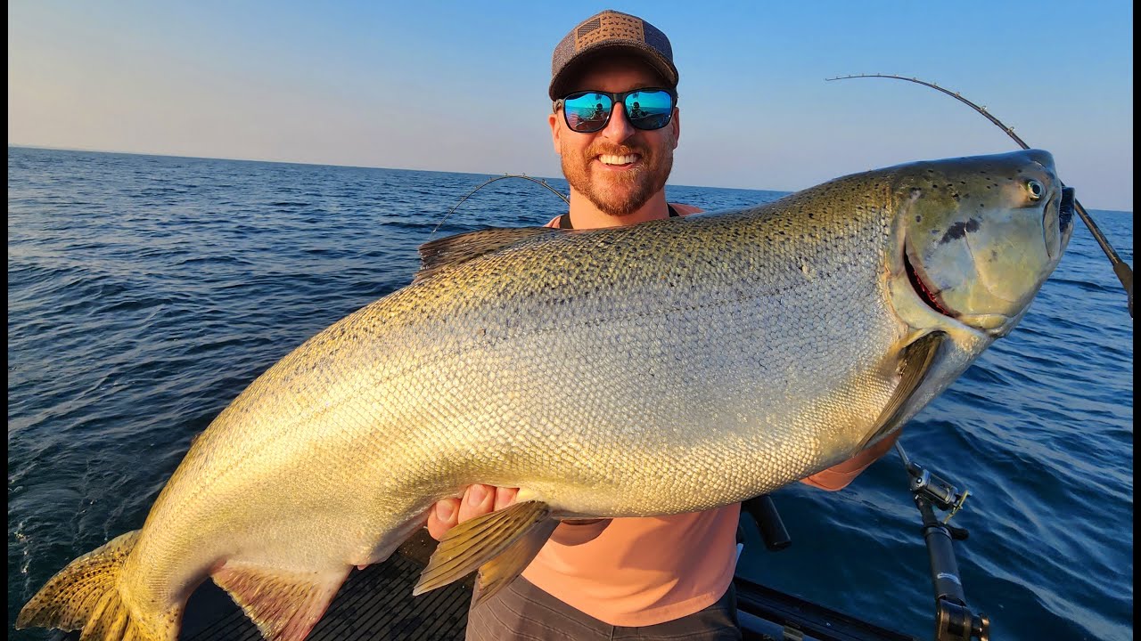 Lake Michigan Summer King's...2023 GIANTS!!!...Catch & Cook...Blackened Salmon TACOS.