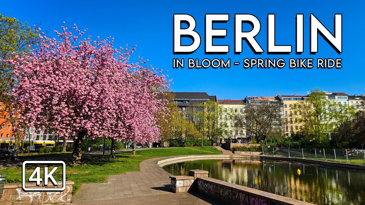 Berlin in Bloom | Cherry Blossoms | Bird Singing And Street Sounds - Spring Bike Ride in 4K