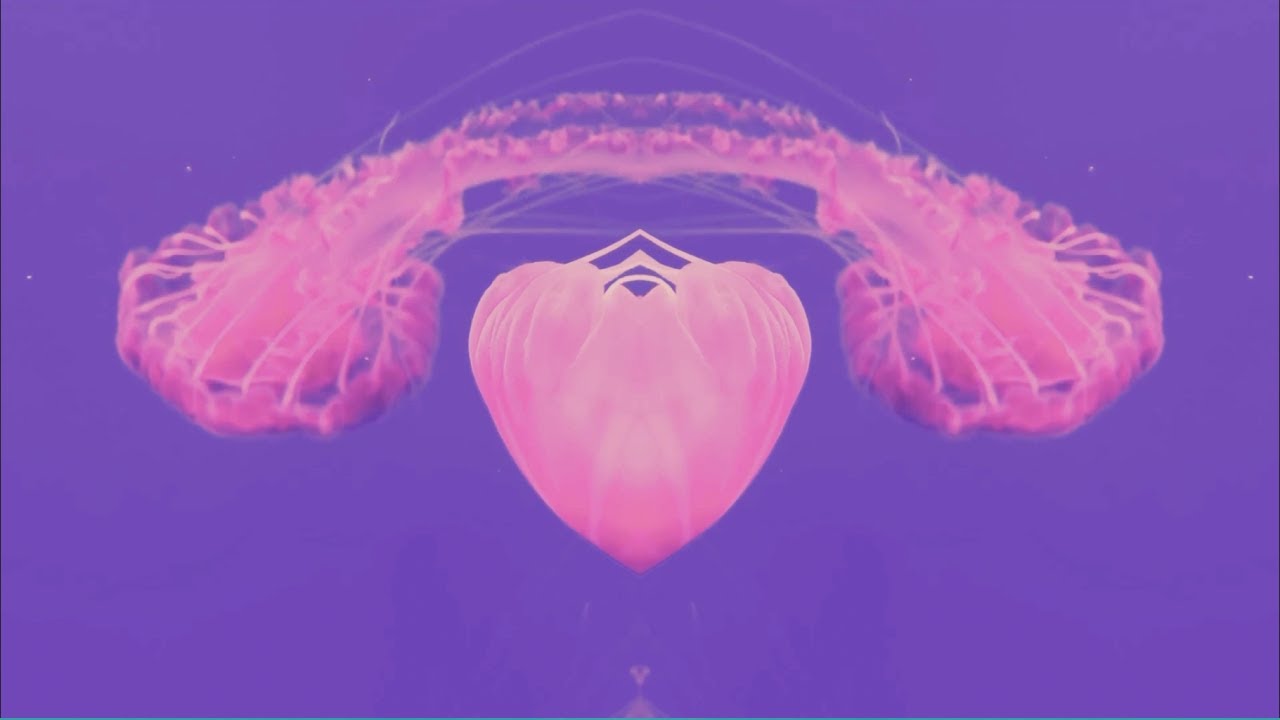 Learn to Trust Yourself