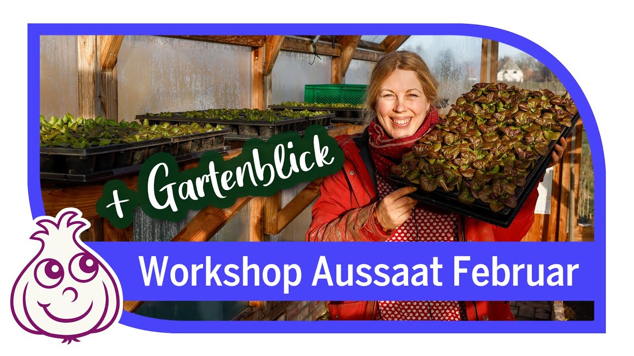 Aussaaten Ende Februar | kleiner Rundgang  & Gemüseanbau Workshop Teil 7