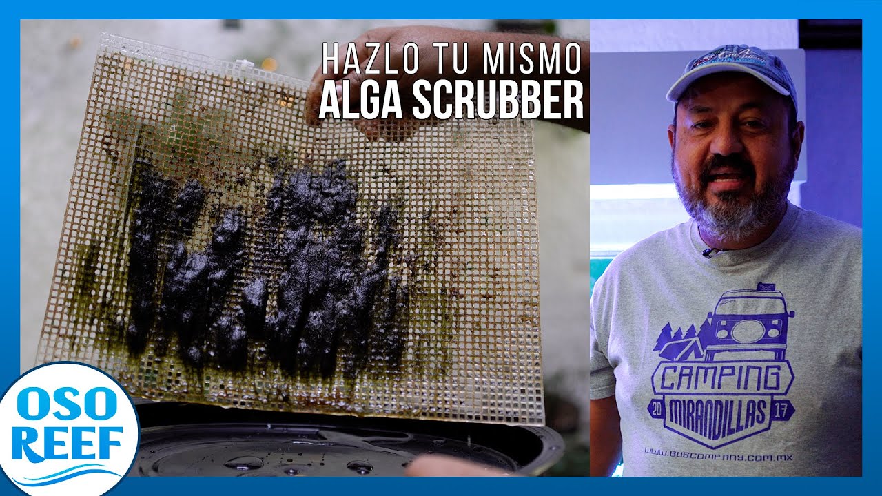 ALGA SCRUBBER en rebosadero DIY.