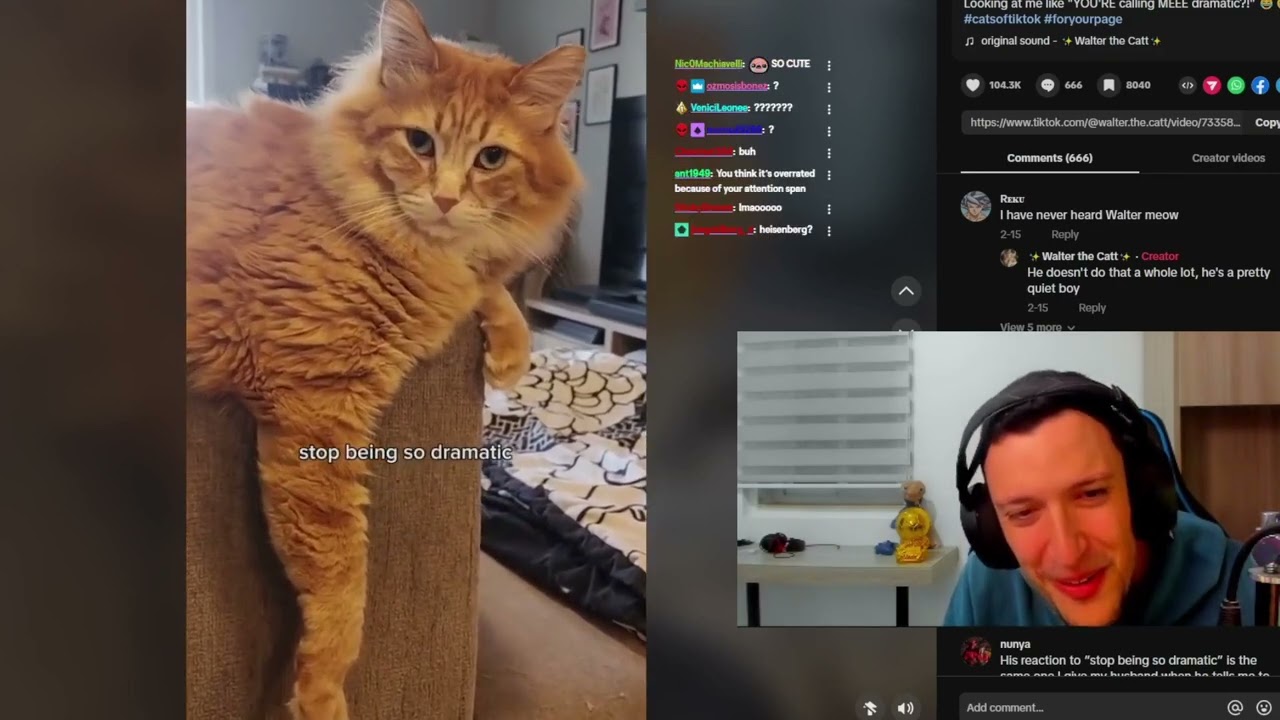 Реакция Курта на TikTok заставит вас...