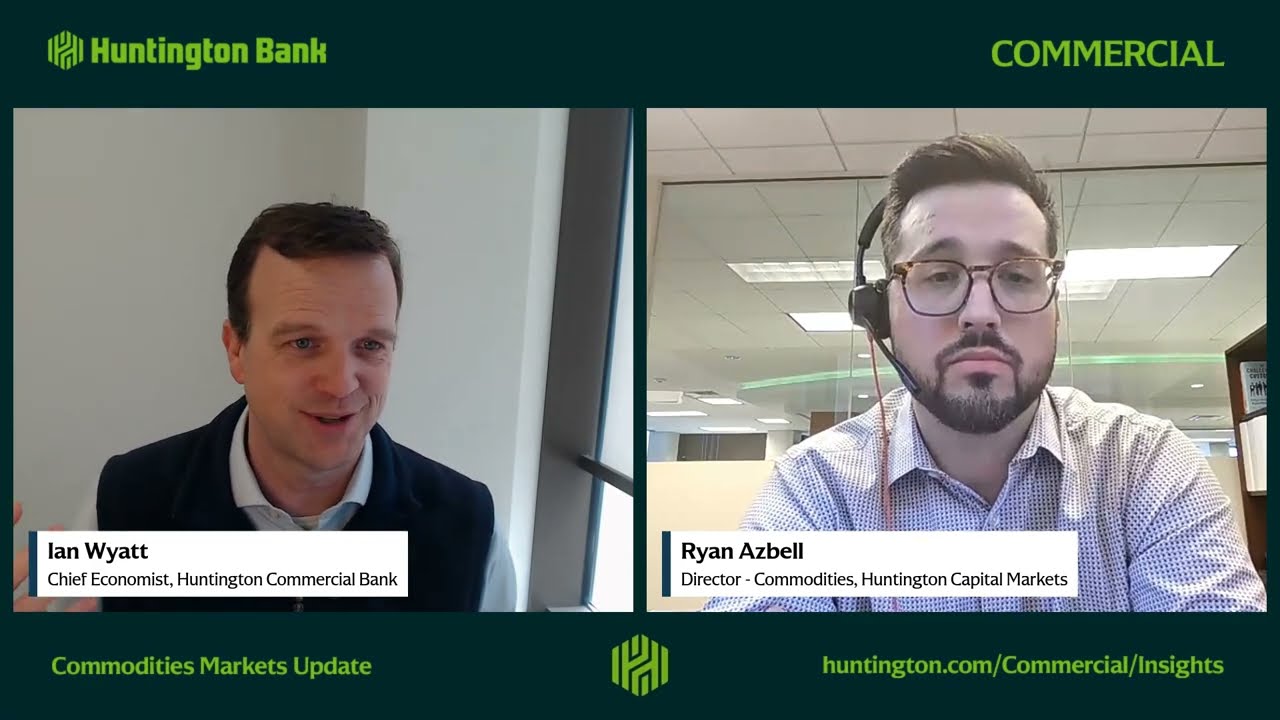 Commodity Volatility Risks, Hedging Strategies, and Inflation Impacts