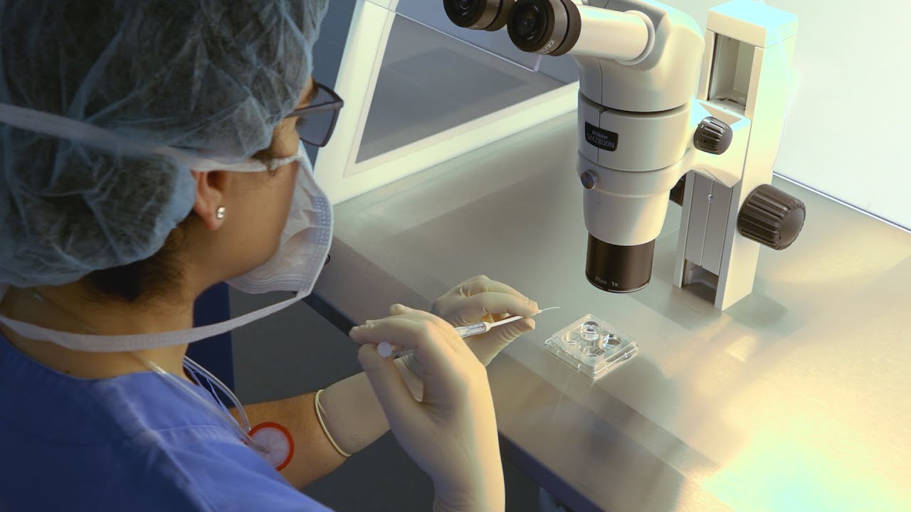 Trasferimento dell'embrione al 3º o 5º giorno di sviluppo. Vantaggi e Svantaggi.