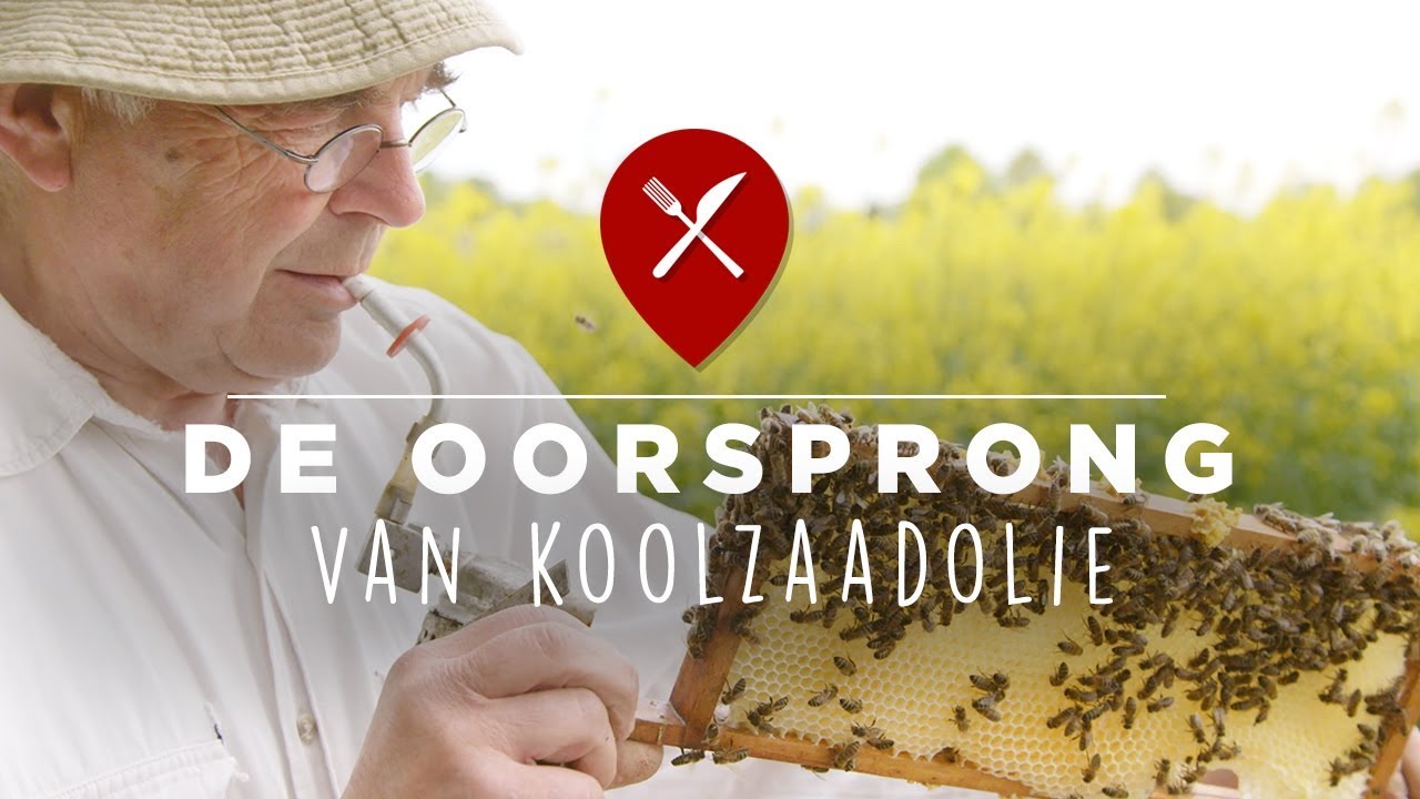 De oorsprong van koolzaadolie