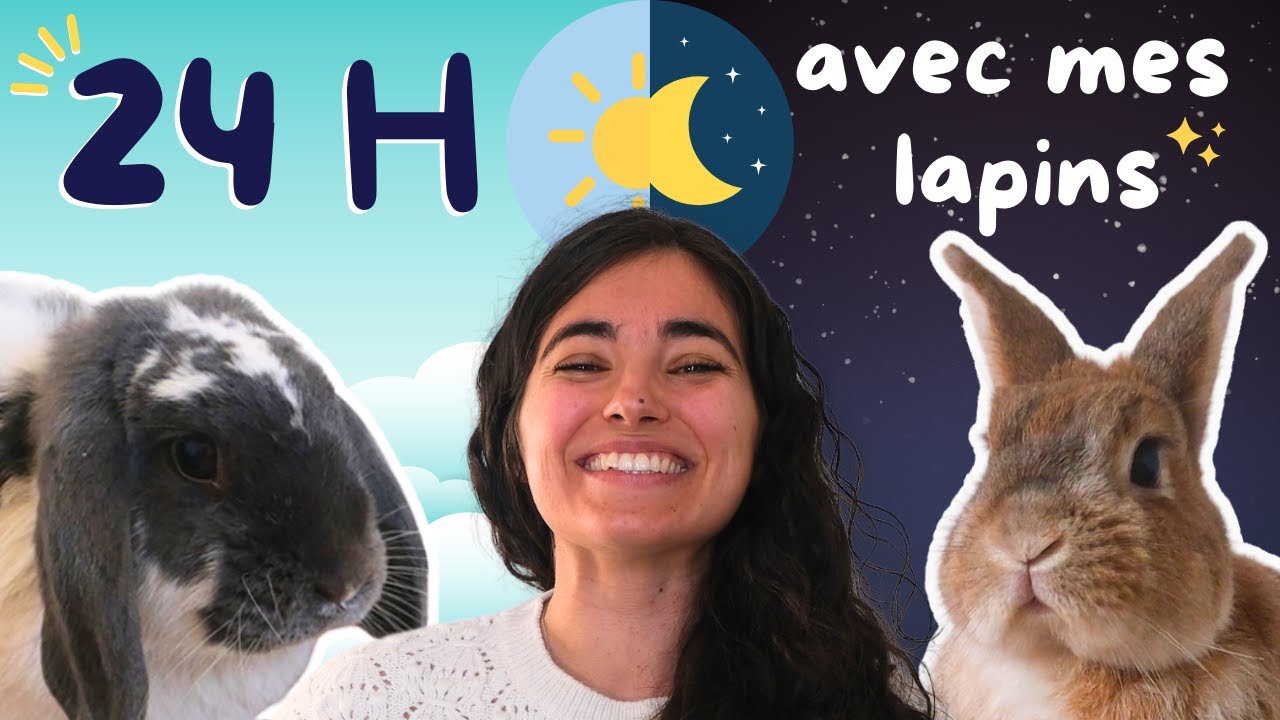 🐰Une journée avec mes lapins☀️🌙 Bunny Routine