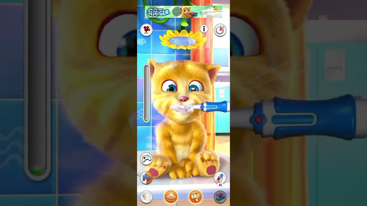 Talking Ginger tom cat funny video 